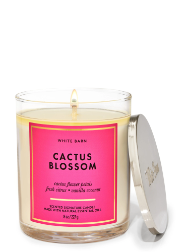 Ароматизована свічка Cactus Blossom 1-Wick Candle