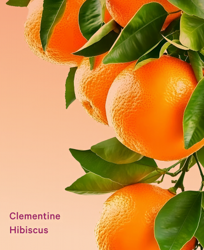 Крем-гель для душу Clementine Hibiscus Cream Body Wash