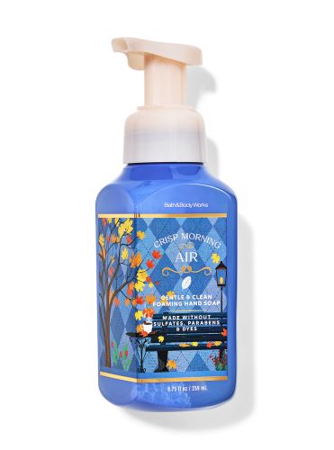Парфумоване мило-пінка Crisp Morning Air Foaming Hand Soap